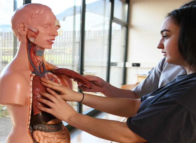 Schülerin beim Anatomieunterricht