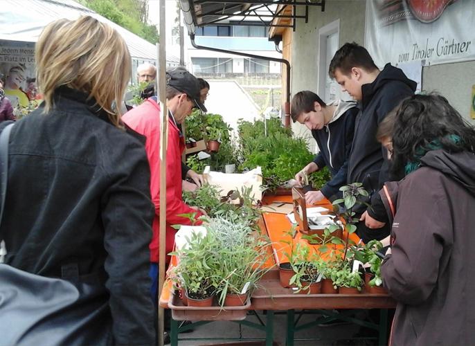 © LLA Imst Kunden beim Einkauf im Gartenbau